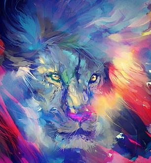 הבלוג של עמרי