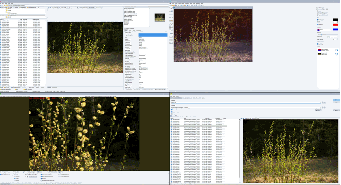 לחץ על התמונה לגרסה מוגדלת.&nbsp;

שם:	Wildbit.gif&nbsp;
צפיות:	35&nbsp;
גודל:	190.4 קילובייט&nbsp;
מק
